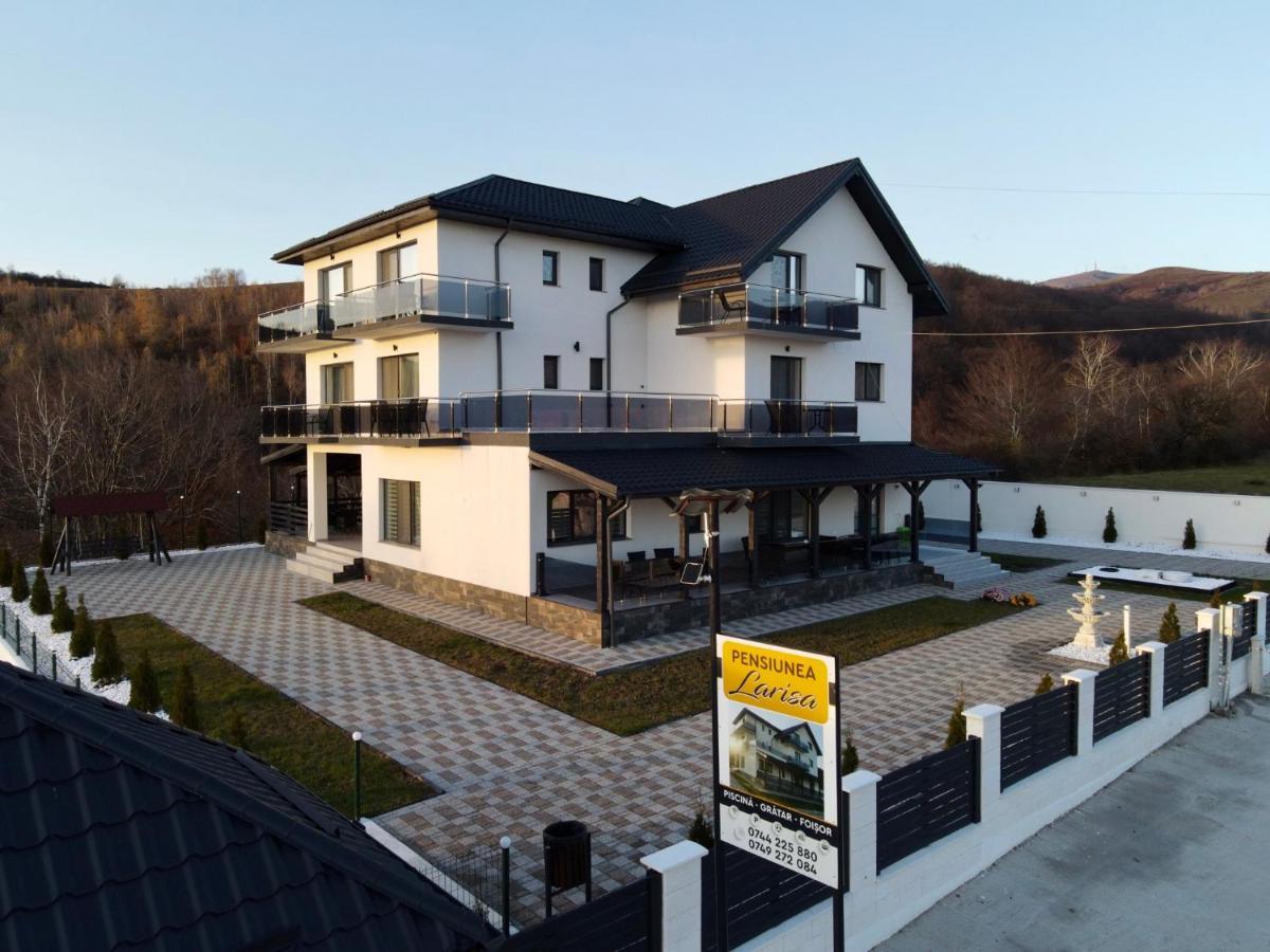Casa De Vacanta Larisa Новач-Стрэйни Экстерьер фото